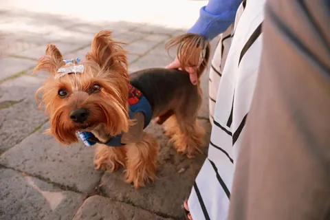 Traveled to Italy for my first time leaving the country