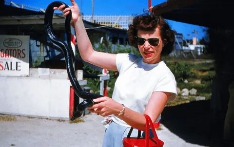 Mama Don't Take My Kodachrome Away - Vintage Kodachrome, 1951-1980