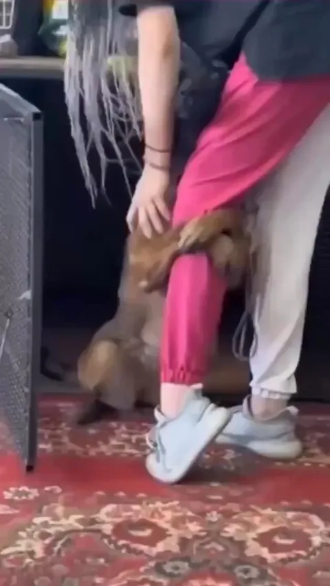 about to leave for work