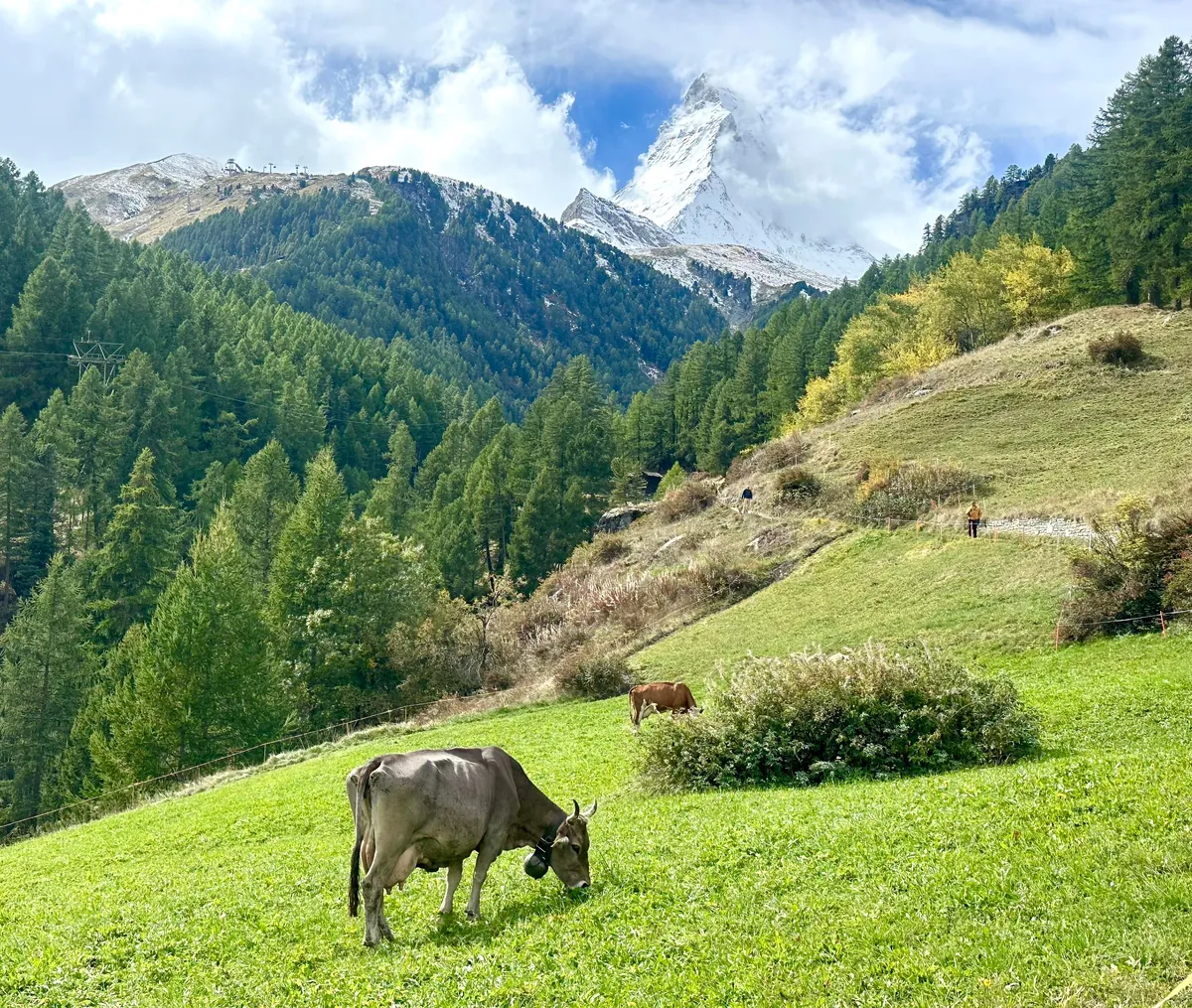 Switzerland is breathtaking 🌺 🏔️