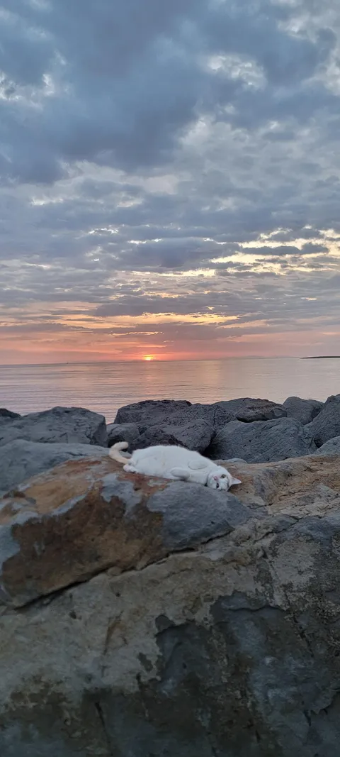 [OC] Icelandic Sunset