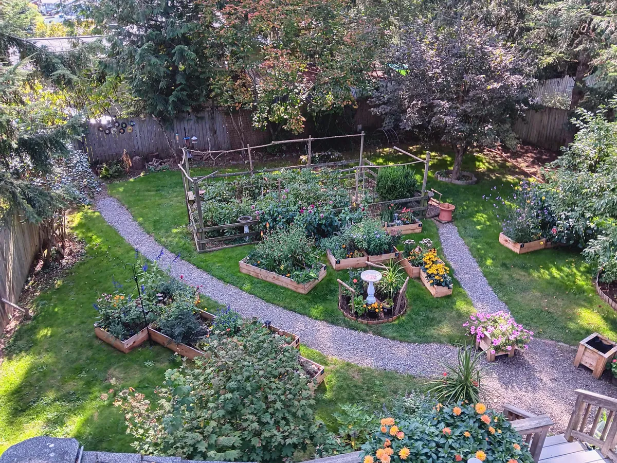 A birds eye view of our gardens this year