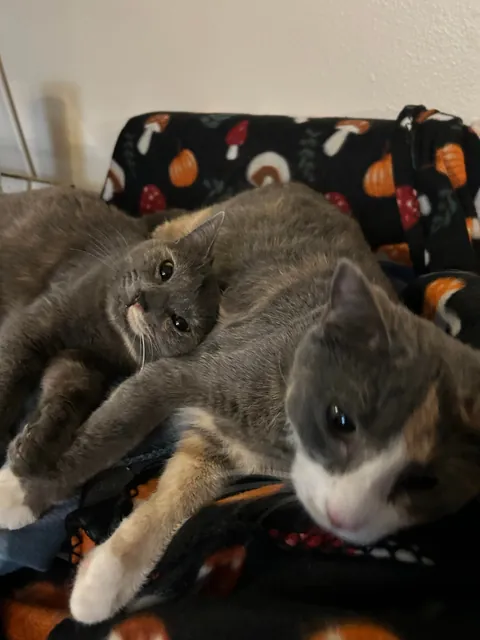 Sisters being sisters