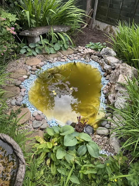 My dad replaced his pond lining, thought blue stony one was a good idea. Turns out it wasn’t.