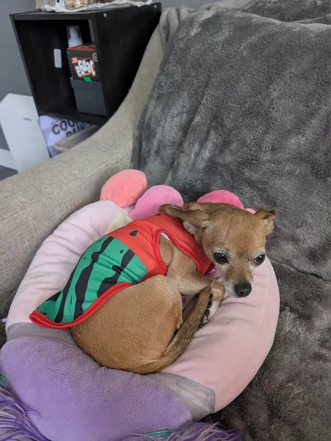 Bambi requested I post her this time