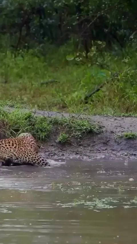 First day fishing and you catch your own tail