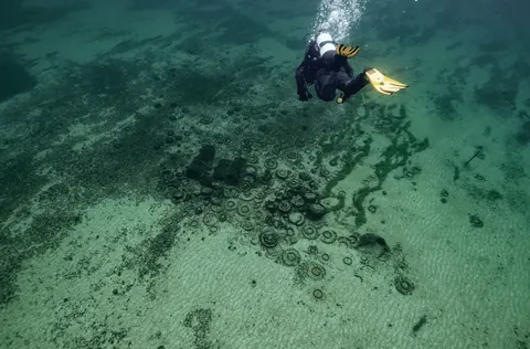 Hundreds of items from the 1st century CE recovered from the bed of Lake Neuchâtel