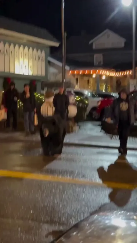 Man distracted the bear to protect the kids