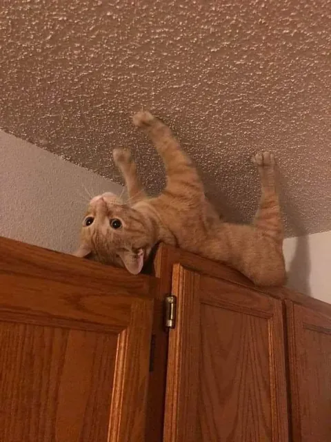 Need a caption😁🥰😻