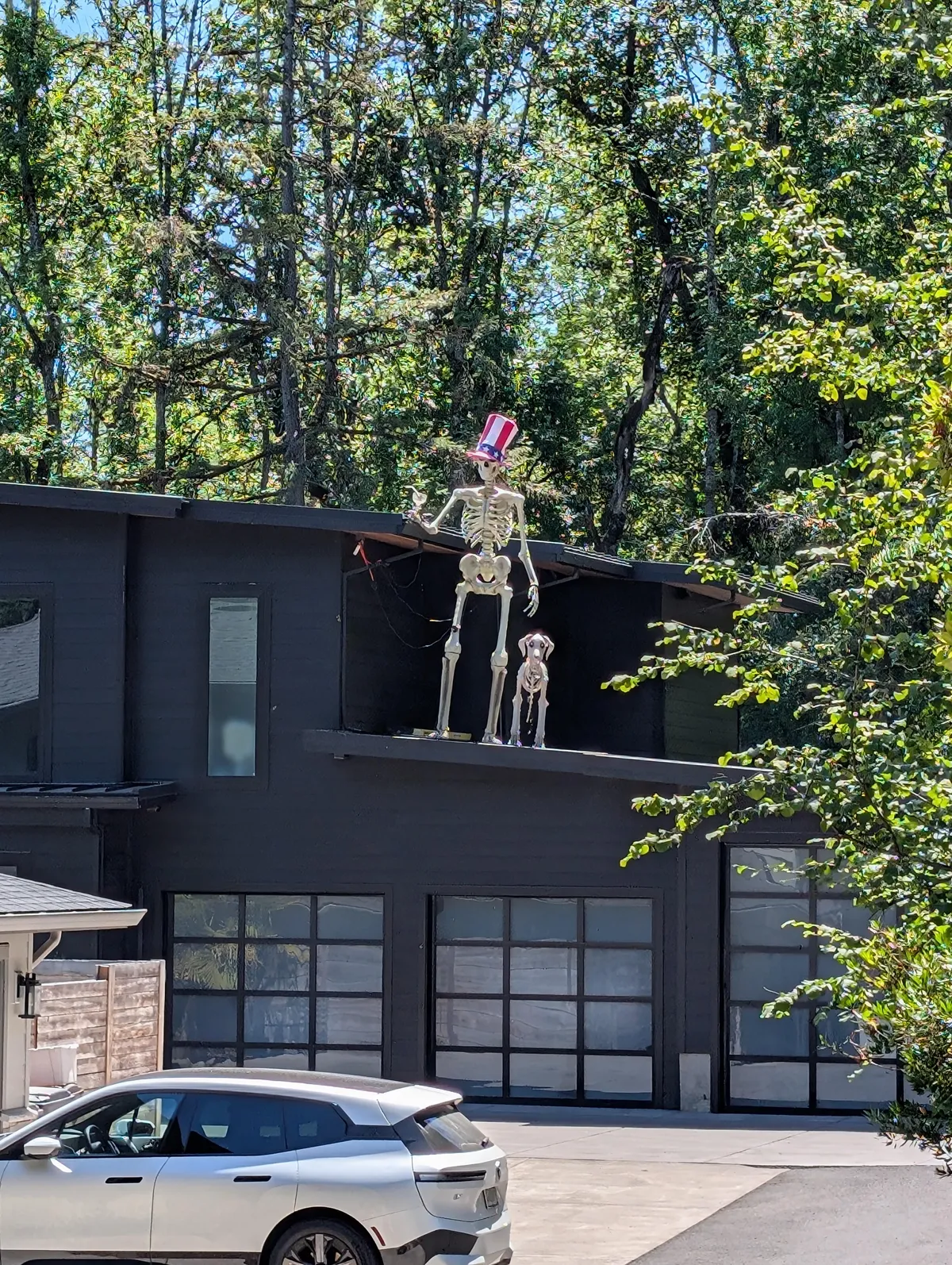 OC: My dill whipping neighbors