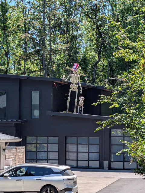 OC: My dill whipping neighbors