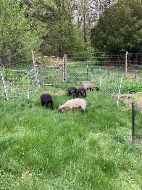 Some garden gate inspiration for winter