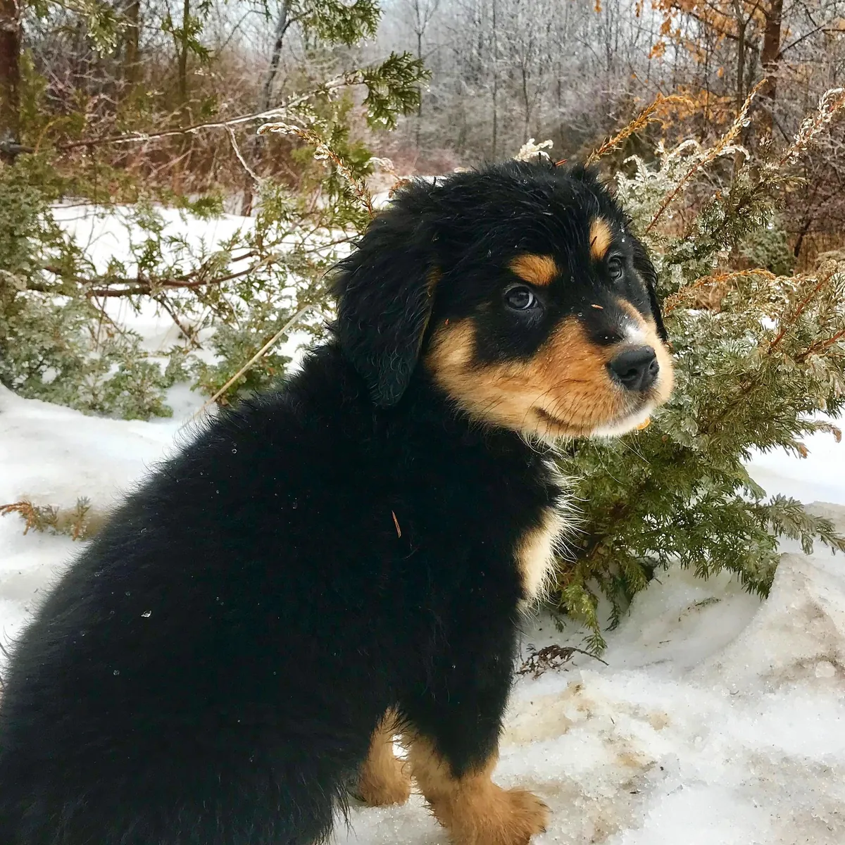 6 years later and we have a wise older brother in the making. ❤️🥰