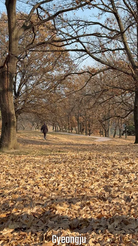 South Korea was amazing. It’s often overlooked compared to Japan.