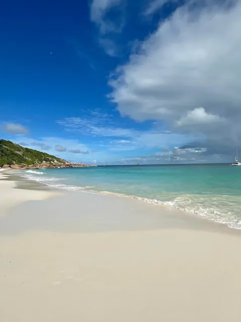 Seychelles - January 2025