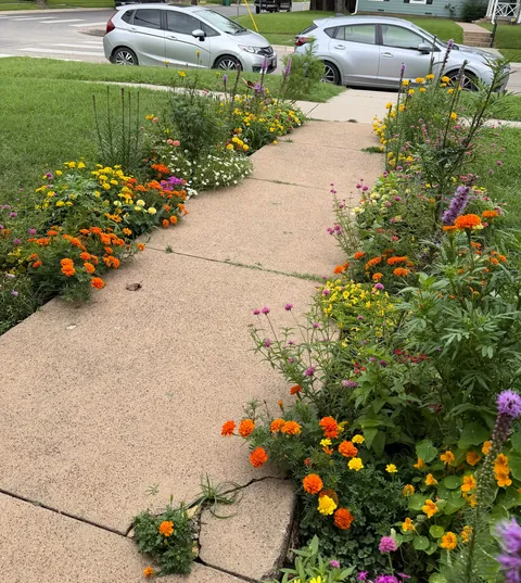 First garden (UPDATE)