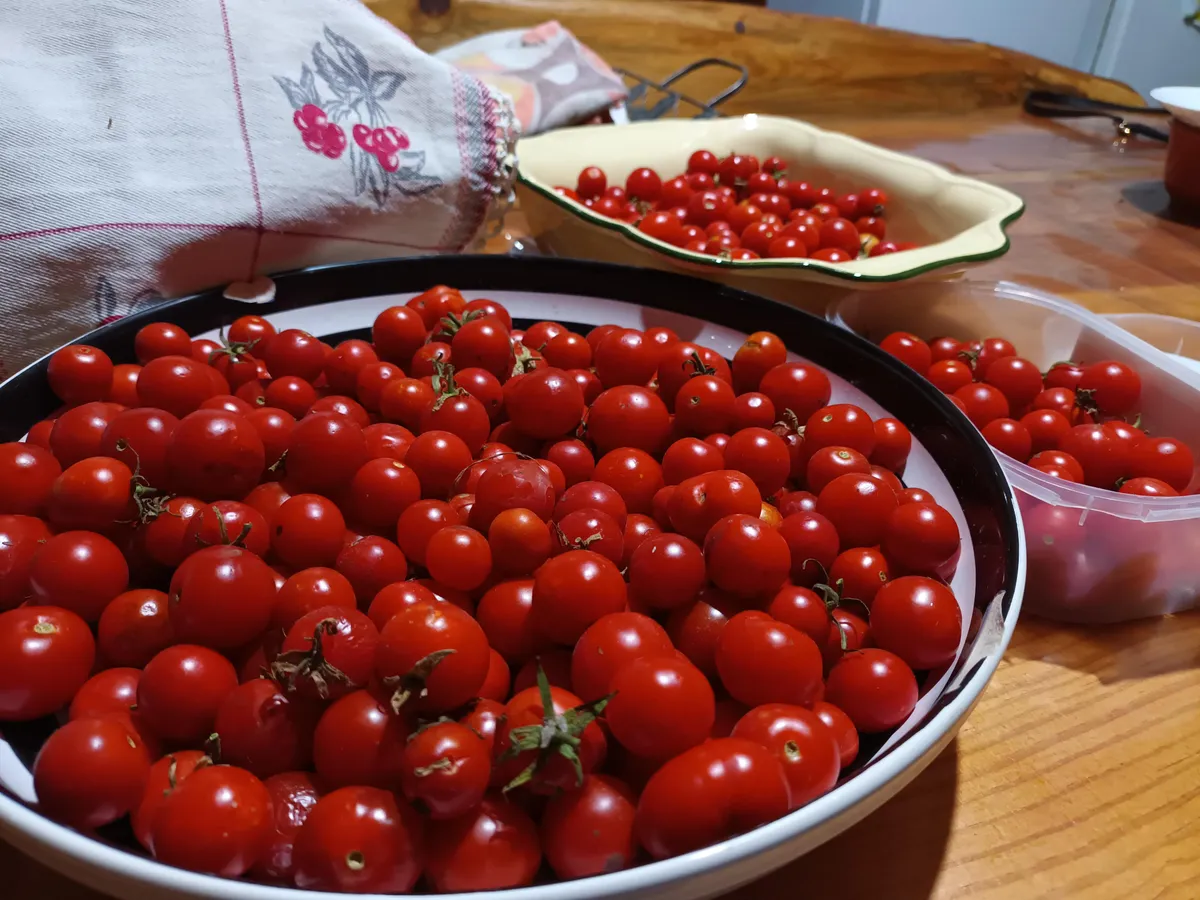 I feel i should share these beauty:)