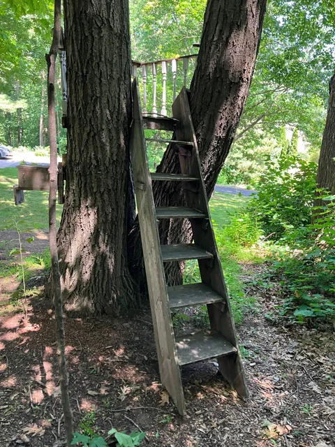 Tree fort for my kids.  The last 4 pics are what the previous tree fort looked like when we bought the property in May