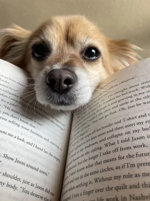 yesterday we celebrated this sweet girl’s gotcha day🥰 (she’s been with us for 8 years)