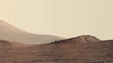 The latest view from Jezero Crater, Mars