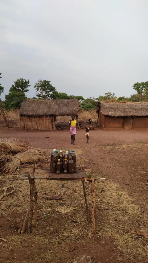Central African Republic (CAR)