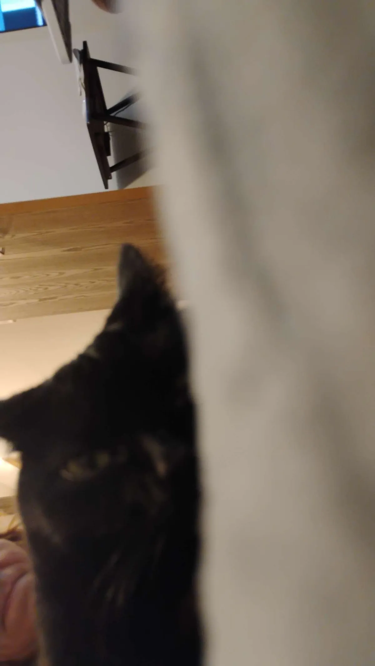 The post that changed my life and gave me my girl