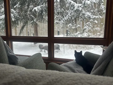 Winter game warden reporting for duty!