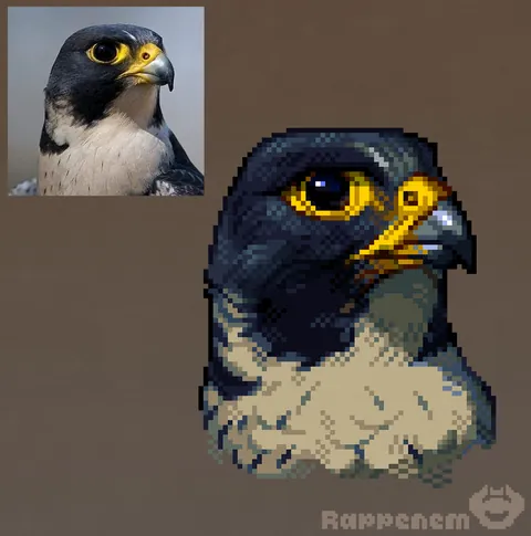 Birb study