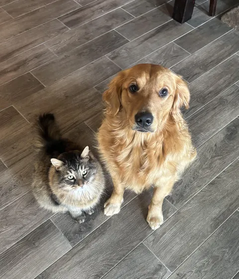 ‘We are here to talk to you about your refrigerator’s extended warranty. Perhaps you could open it for us.’