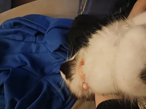 She might have a favourite sleeping position