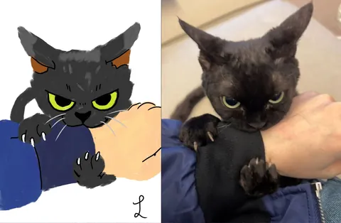 I want to draw! Upload your best black cat photo and I'll draw it!