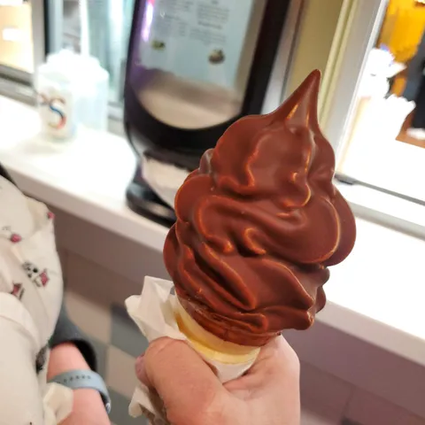 [I ate] a chocolate dipped ice cream cone
