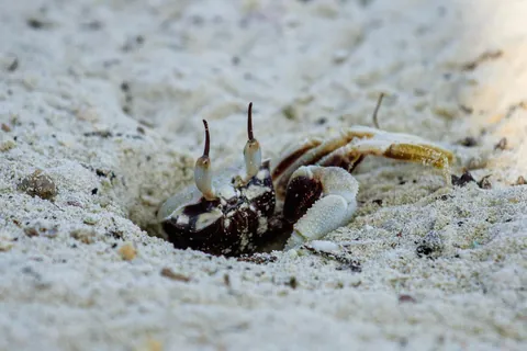 Two Weeks in Malaysia