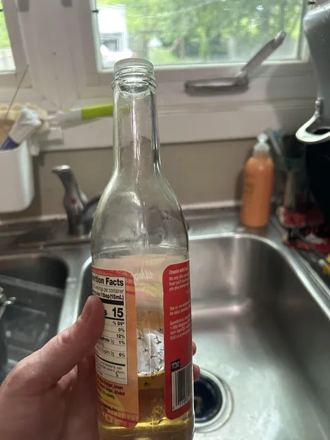 unintentionally left a bottle of rice vinegar with the cap off &amp; became an accidental fruit fly trap