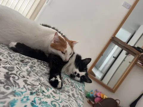 the first thing I see when I wake up