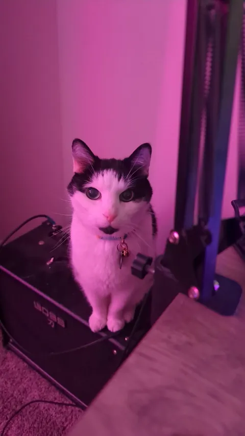 Rest easy my sweet prince