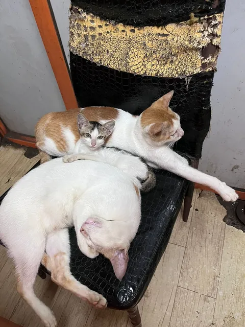 People asked for more photos of garage employees!