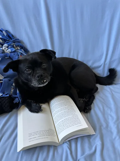 Kaiju wants to know if you’re all caught up for book club