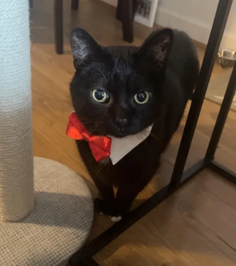 Would you let this man date your daughter??