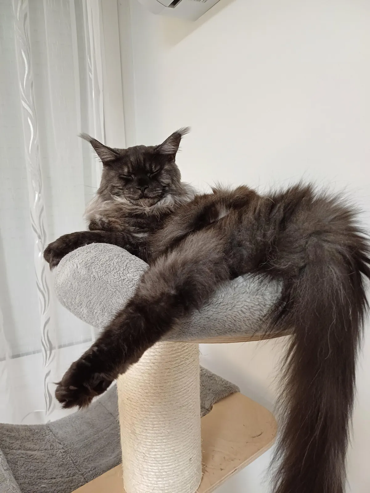 Hi reddit, it's Théoden. Did not see you for a long time