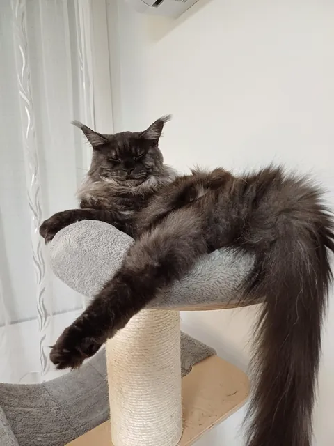 Hi reddit, it's Théoden. Did not see you for a long time