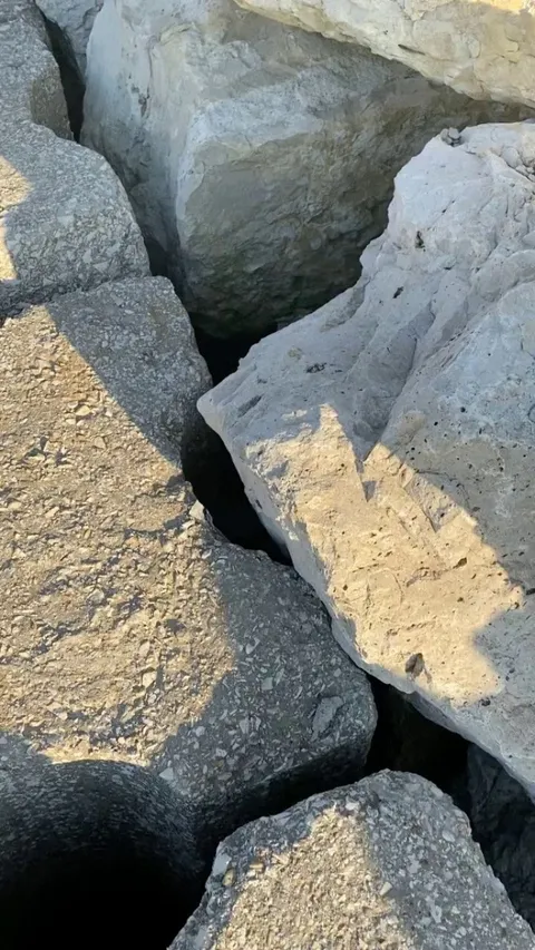 Would you pass by or stop and say hi?