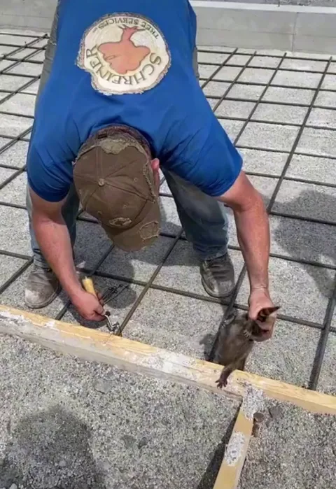 "Dad wait, I'm coming!"