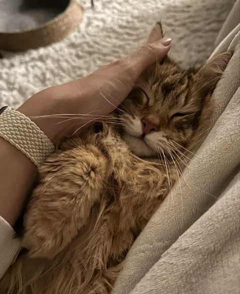 From abandoned house to loving home