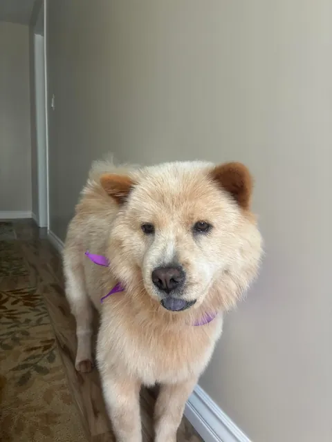 Zoey 1 Year Ago to Now