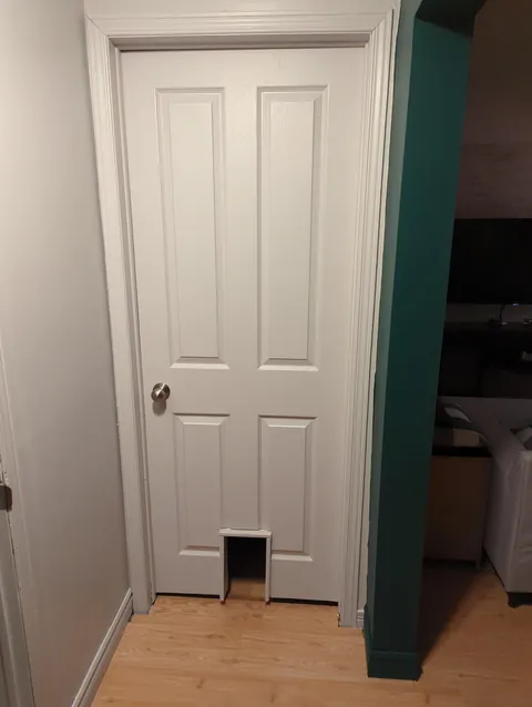 I made a door for my cats