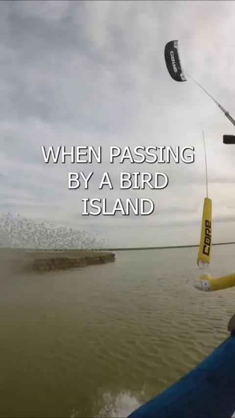 Kitesurfer rescues a seagull