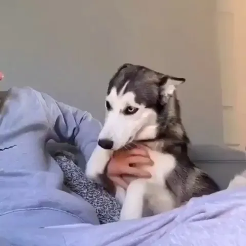 Oh yeah, that's the spot