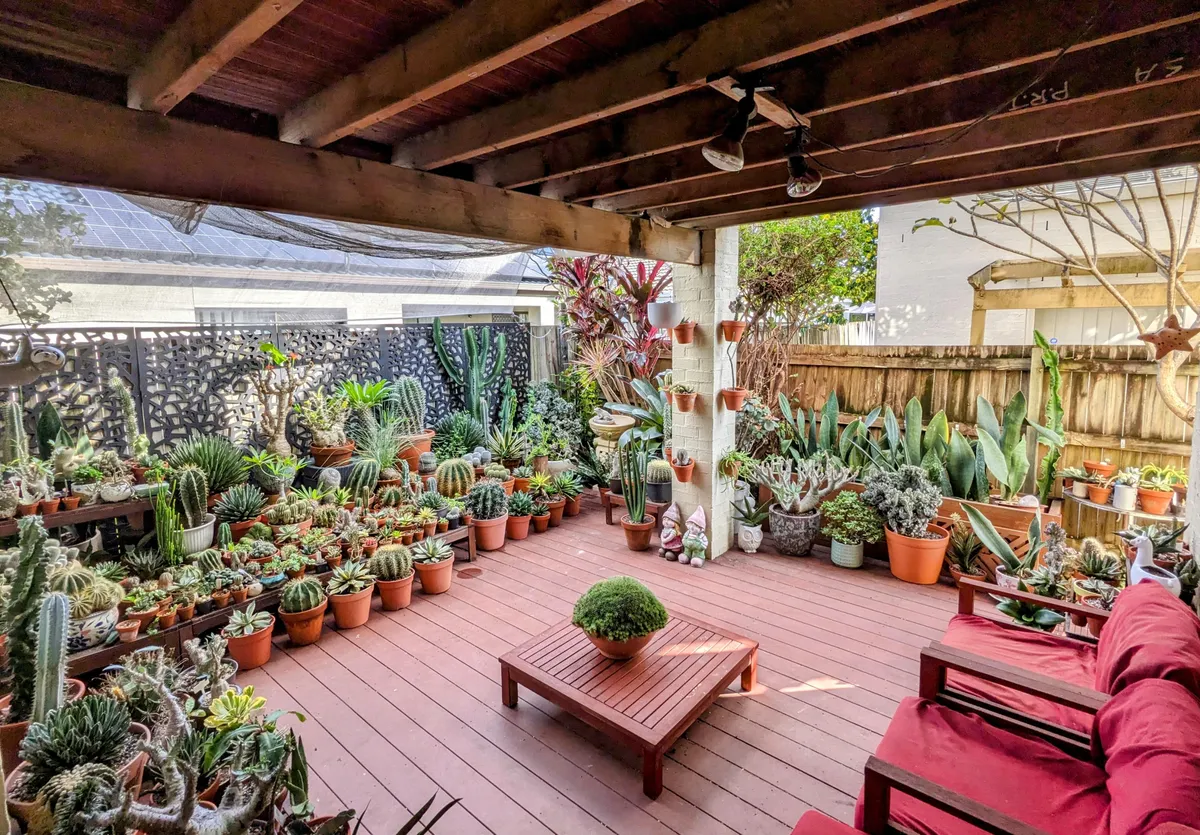 My patio garden after some rearrangements