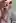Real couple have homemade sex in the shower (FM)